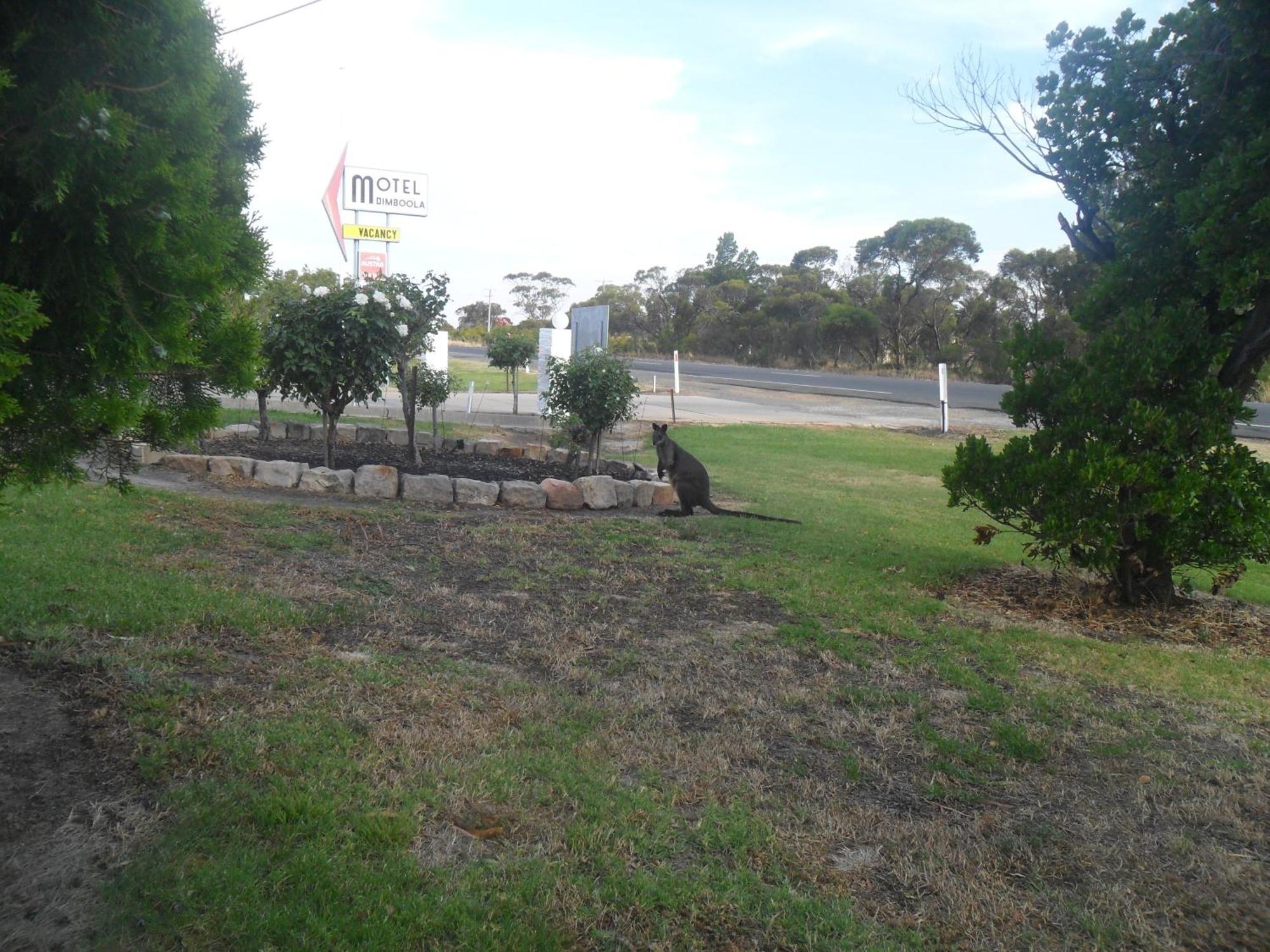 Motel Dimboola Exterior photo