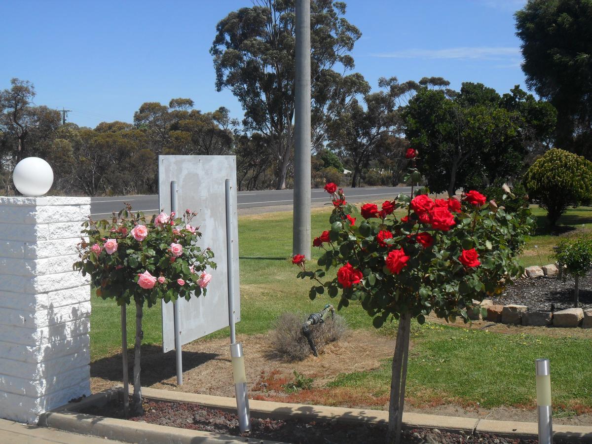 Motel Dimboola Room photo